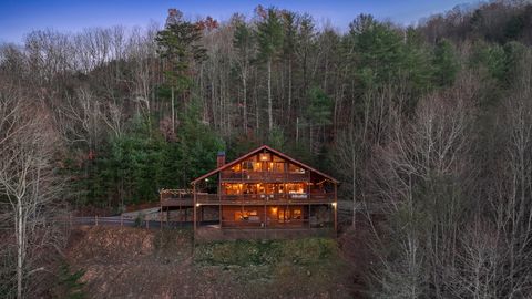 A home in Mineral Bluff