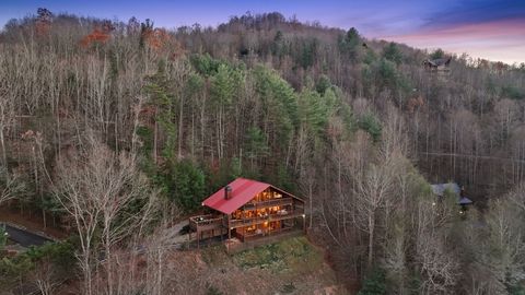 A home in Mineral Bluff