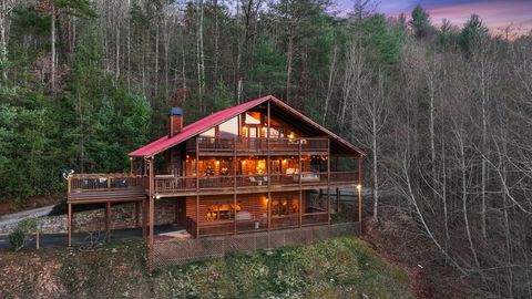 A home in Mineral Bluff