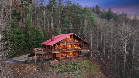 A home in Mineral Bluff