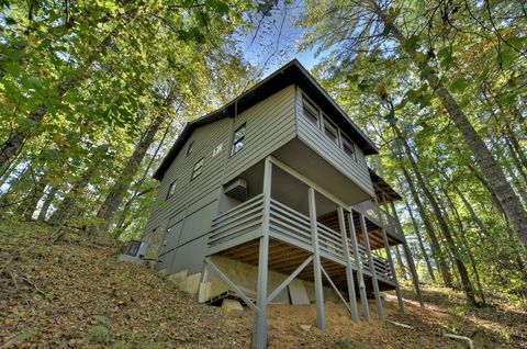 A home in Blue Ridge