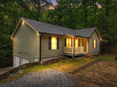 165 Pelican Drive Ellijay GA 30540