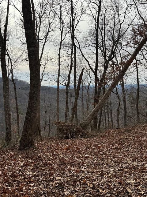 Lot 109A Folkstone Road Talking Rock GA 30143