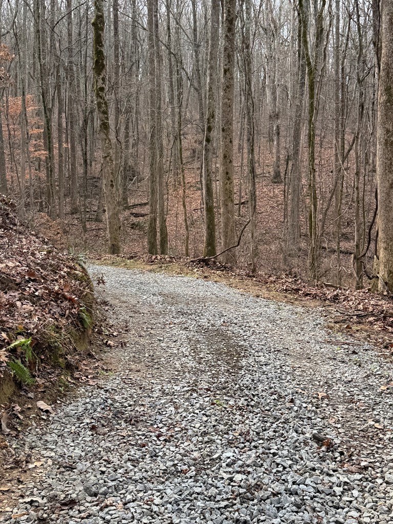 Lot 109A Folkstone Road