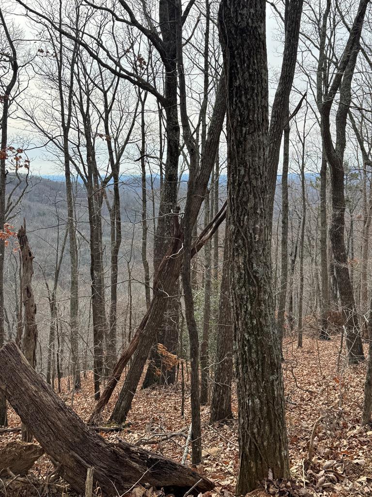 Lot 109A Folkstone Road