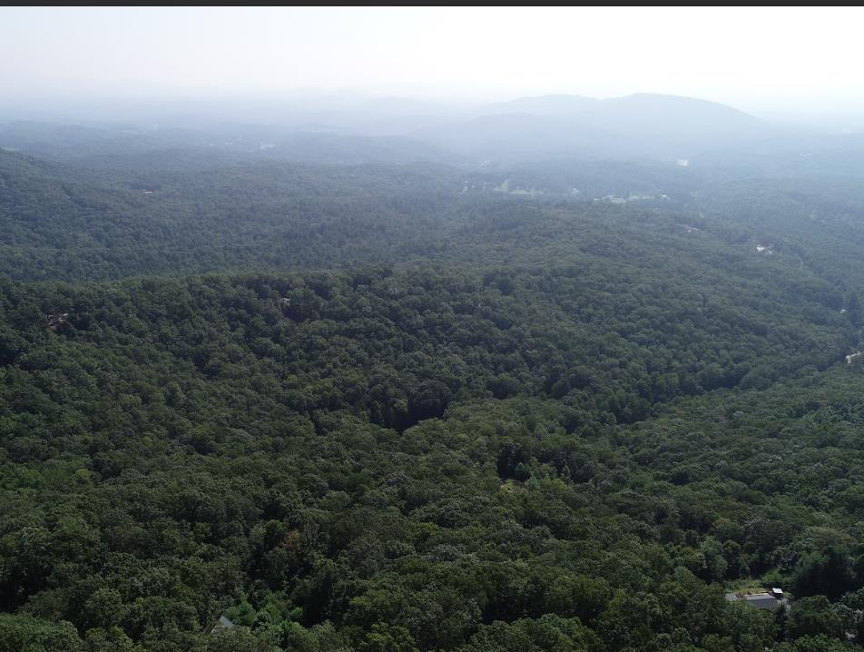 LT107 Steep Cove Road