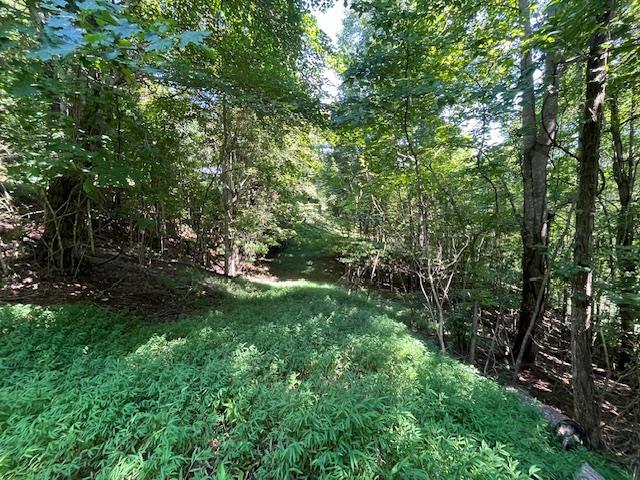 Lot 23 Bear Paw Lane