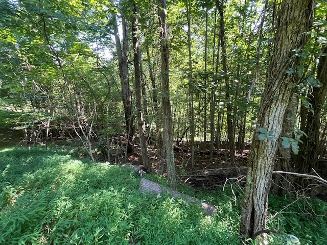 Lot 23 Bear Paw Lane