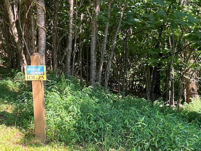 Lot 23 Bear Paw Lane