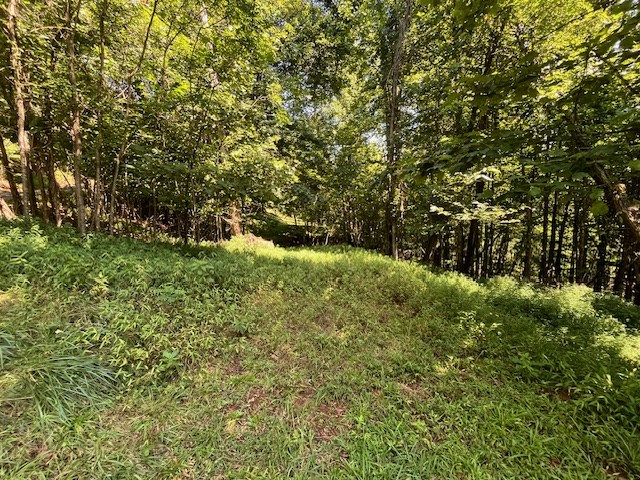 Lot 23 Bear Paw Lane