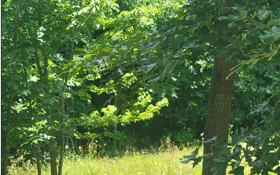 24 Mountain Knoll Lane