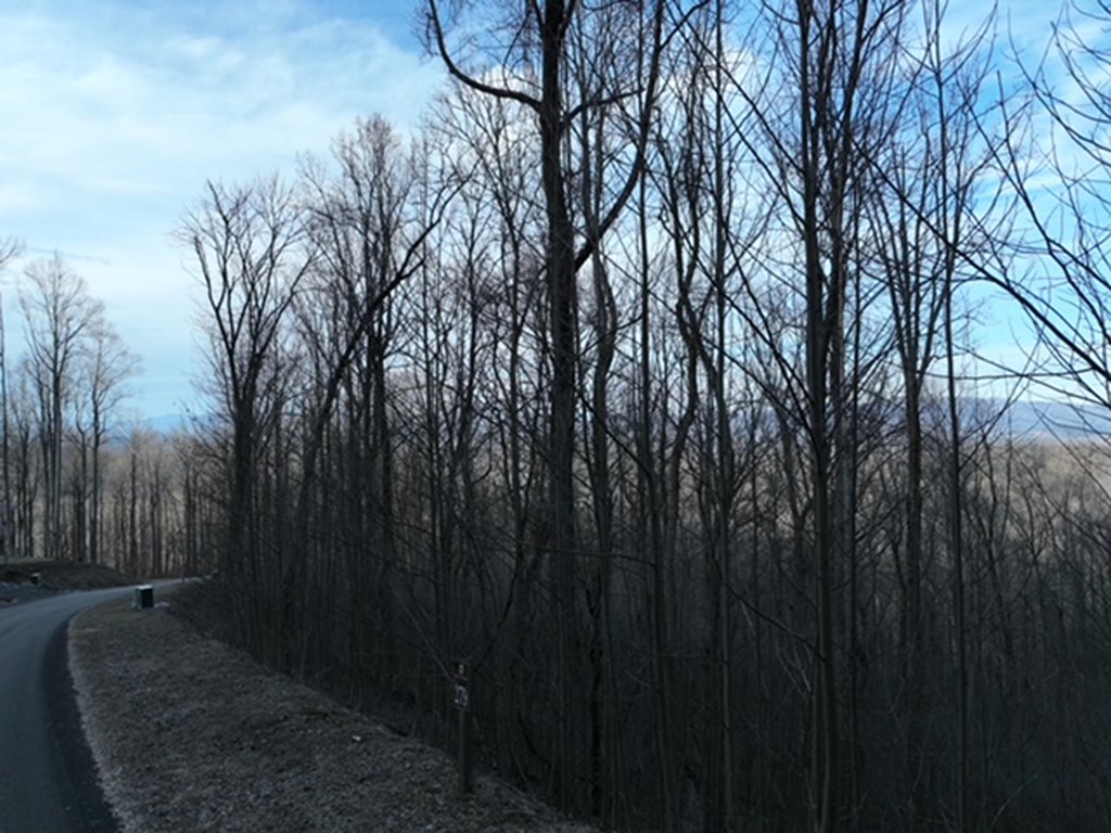 279 Andes Ridge