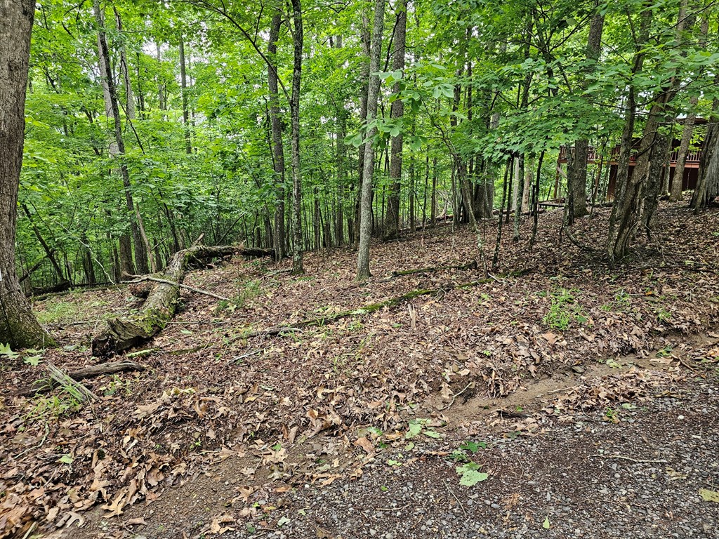 Lot 13-B Mountain Top Drive