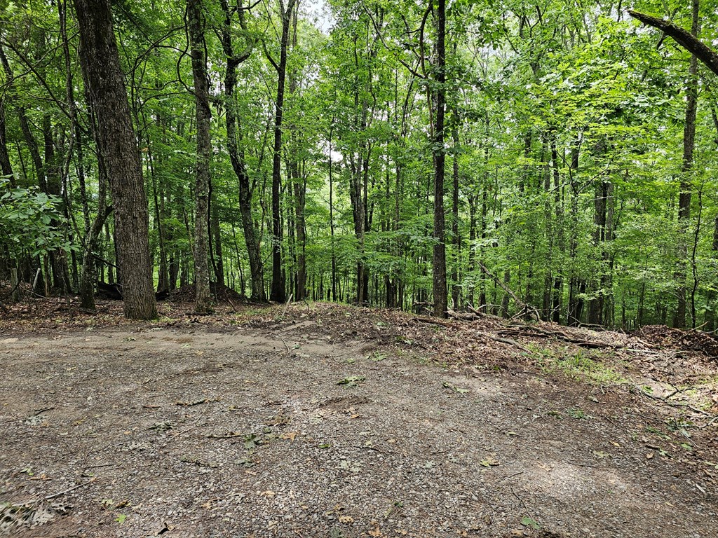Lot 13-B Mountain Top Drive