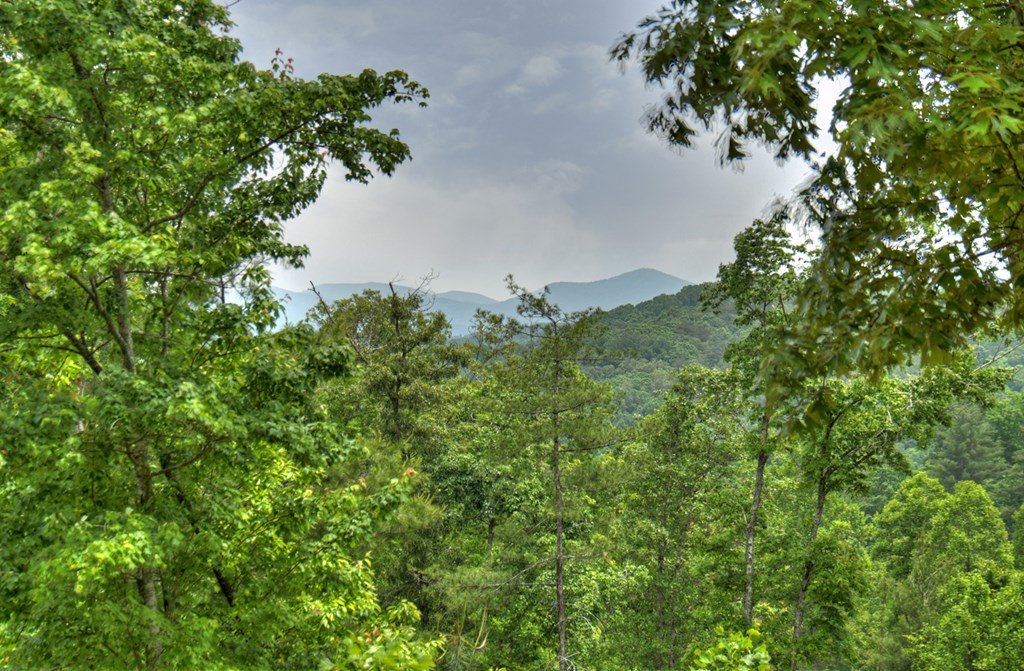 LOT 2 Hidden Acres