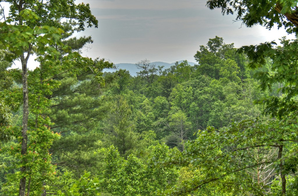 LOT 2 Hidden Acres