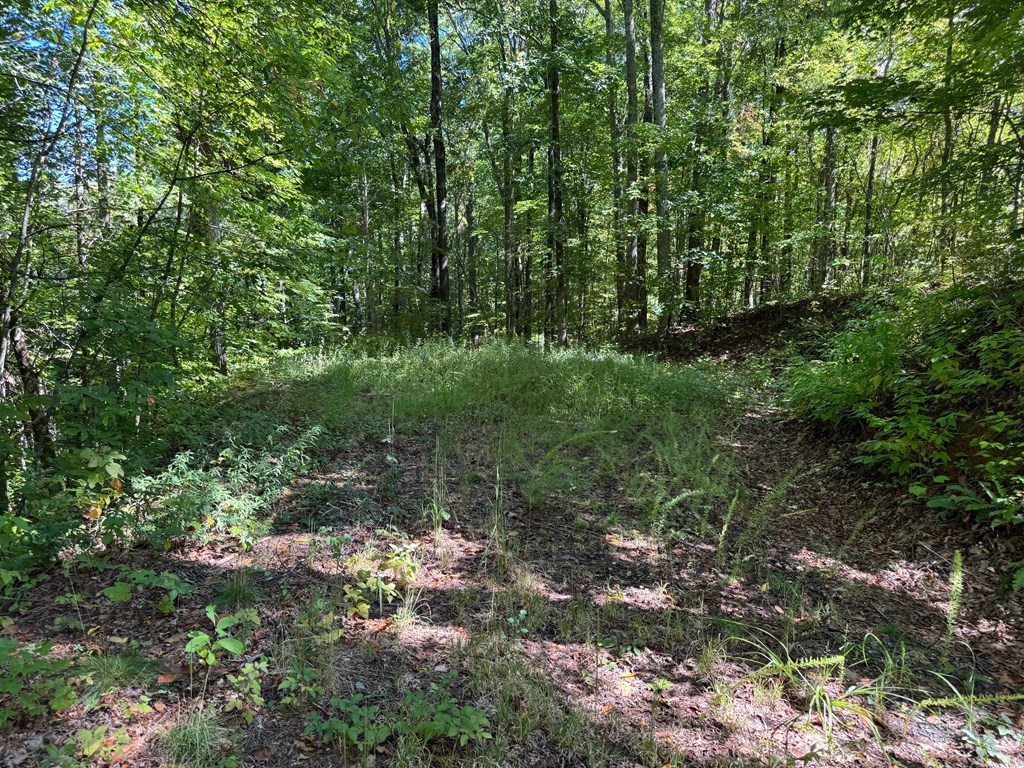 #2-3 Burnt Leaf Lane