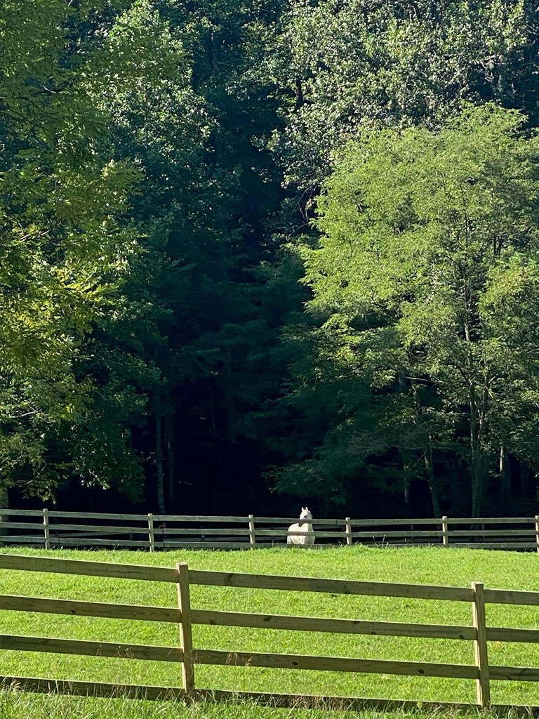 8954 Doublehead Gap Road