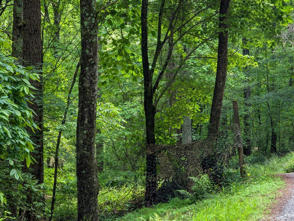 00 Wildwood Trail