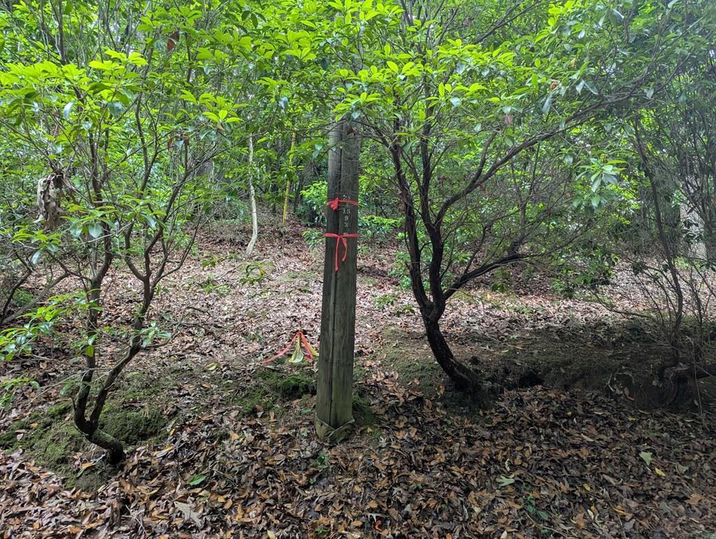 00 Wildwood Trail