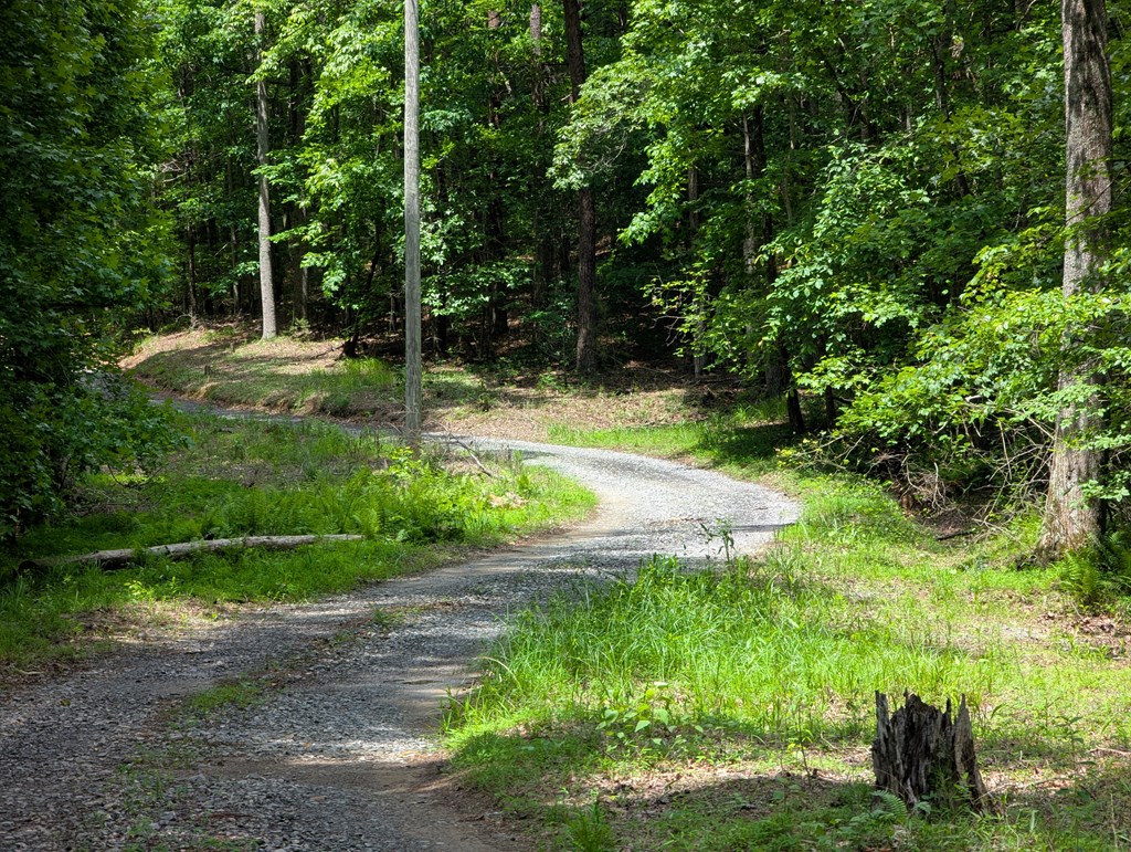 00 Wildwood Trail