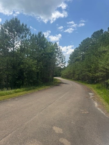 LT 43&44 Reece Mountain Road