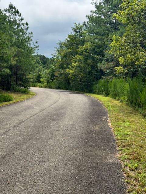 LT 43&44 Reece Mountain Road