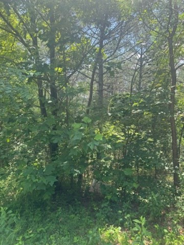 LT 43&44 Reece Mountain Road