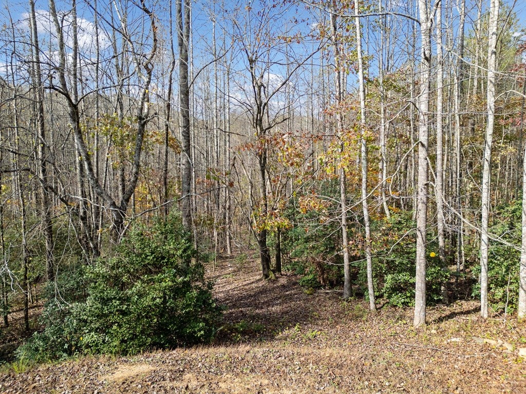 Lot 7 Highpoint Ridge Road