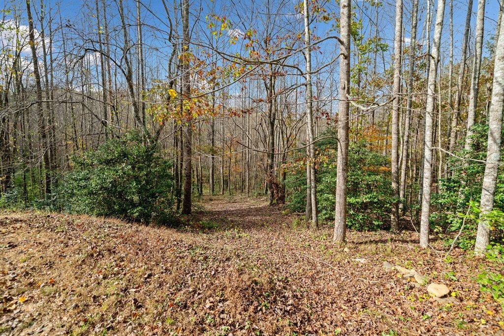 Lot 7 Highpoint Ridge Road
