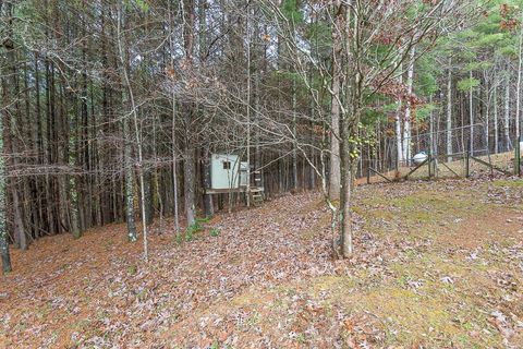 A home in Brasstown