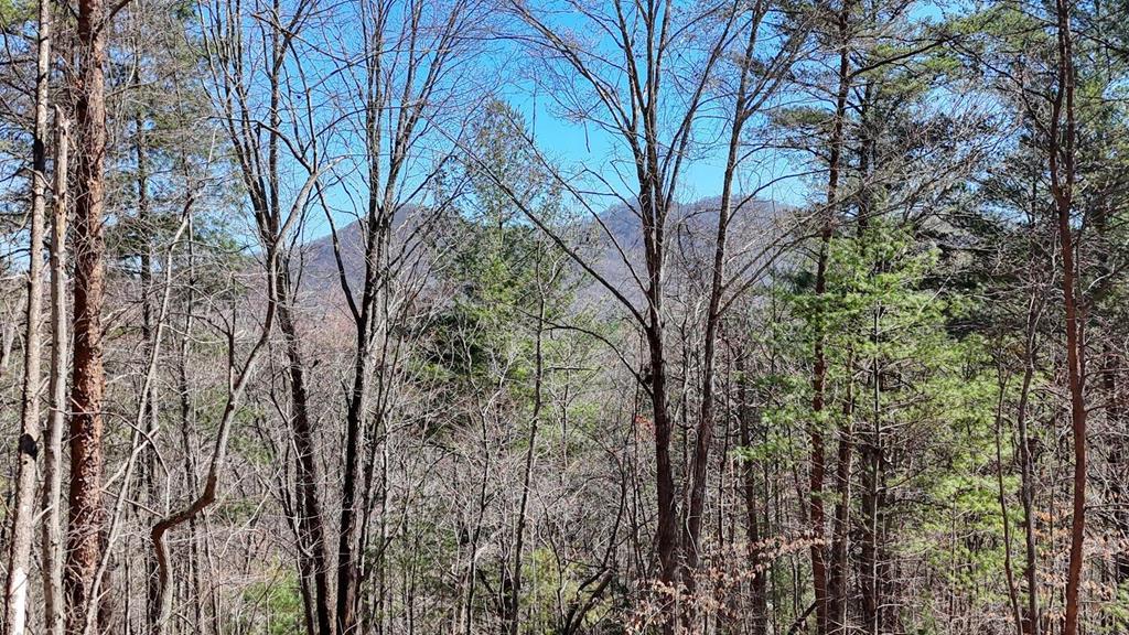 Lot 10 Firefly Ridge Road