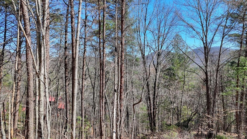 Lot 10 Firefly Ridge Road