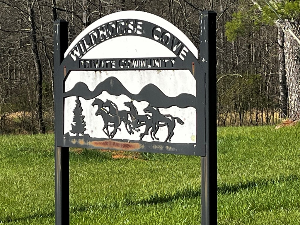 169 Wildhorse Cove Circle