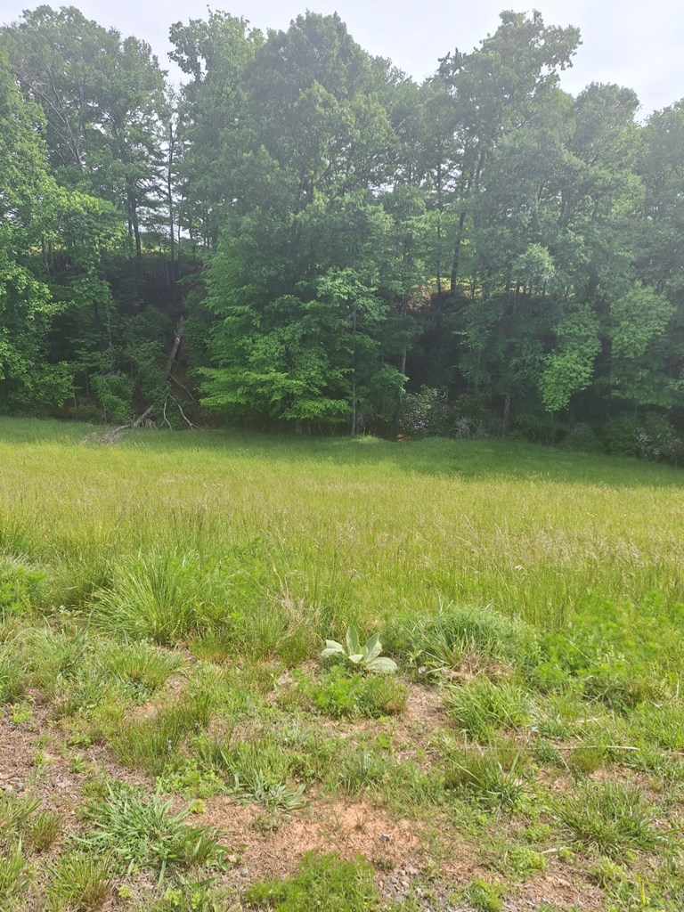 Lot 67 Hillside