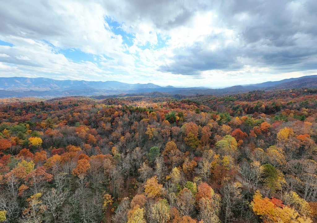 135.49ac Webb Creek Road