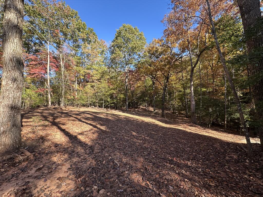 TBD Sawyer Ridge Lane