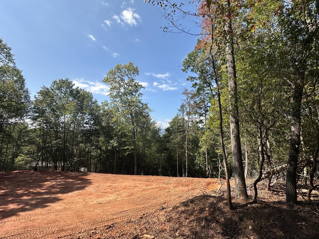 TBD Sawyer Ridge Lane