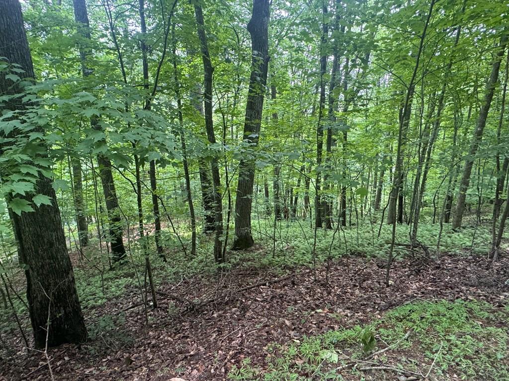 Lot 31 Highland Forge Lane