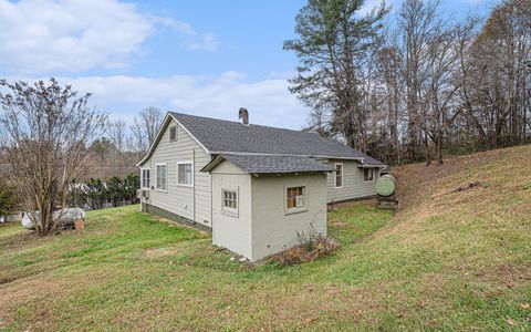 A home in Blue Ridge