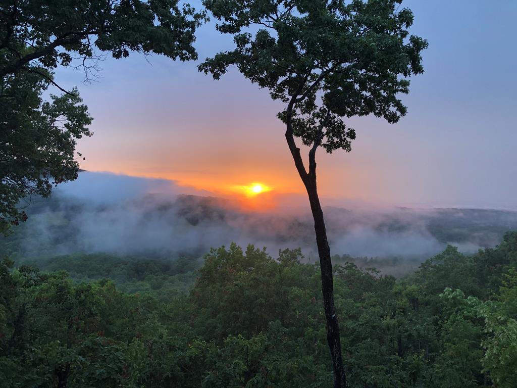 195 Hoot Owl Ridge