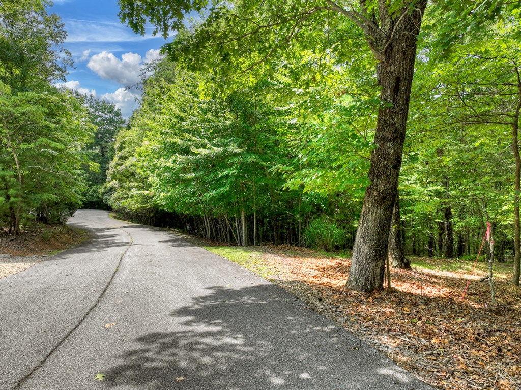 2.27ac River Crest Lane