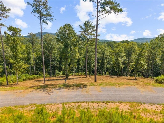TIMBER TRL, TALKING ROCK, GA 30175 - Image 3cd352df8c9d146232d1ace3c852e9e3/3046940657