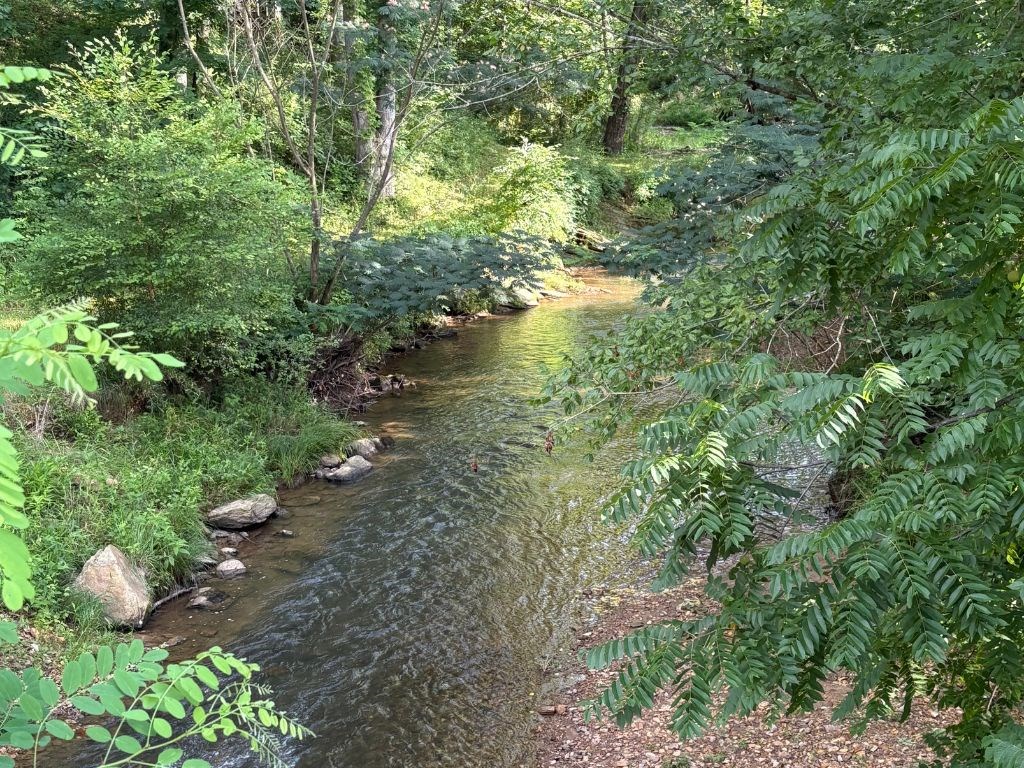 5827 Brasstown Creek Est
