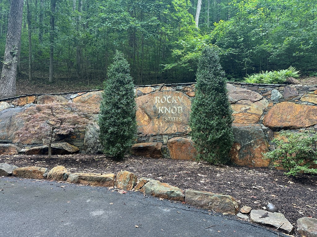 Lt 64/65 Rocky Knob Estates