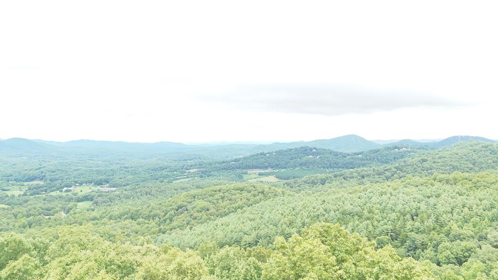 Lt 64/65 Rocky Knob Estates