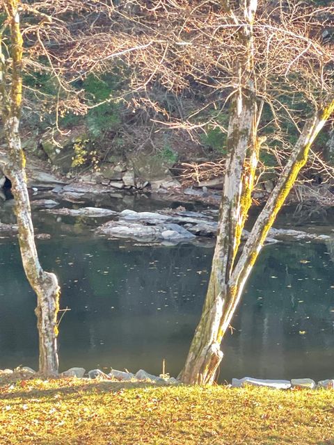 A home in Ellijay