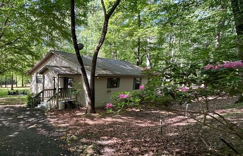 A home in Ellijay