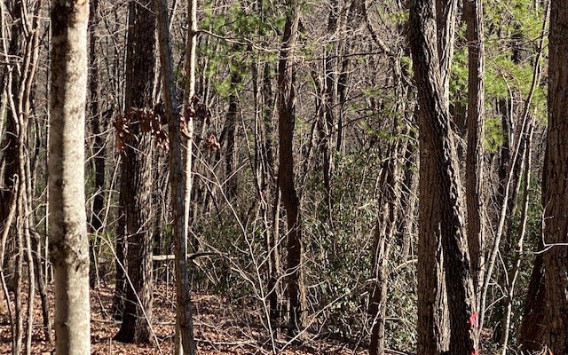 LT 5 Sunrock Mountain Trc