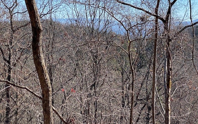 LT 5 Sunrock Mountain Trc